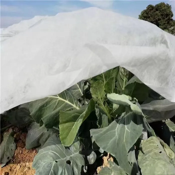 PP Polypropylene Spunbond Non Woven Fabric for disposable underwear  disposable bed sheet and weed control fabric