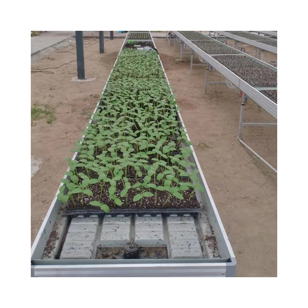 Factory Supply Greenhouse Rolling Benches Flood Tray Hydroponic Ebb and Flow Table For Green House Vegetable