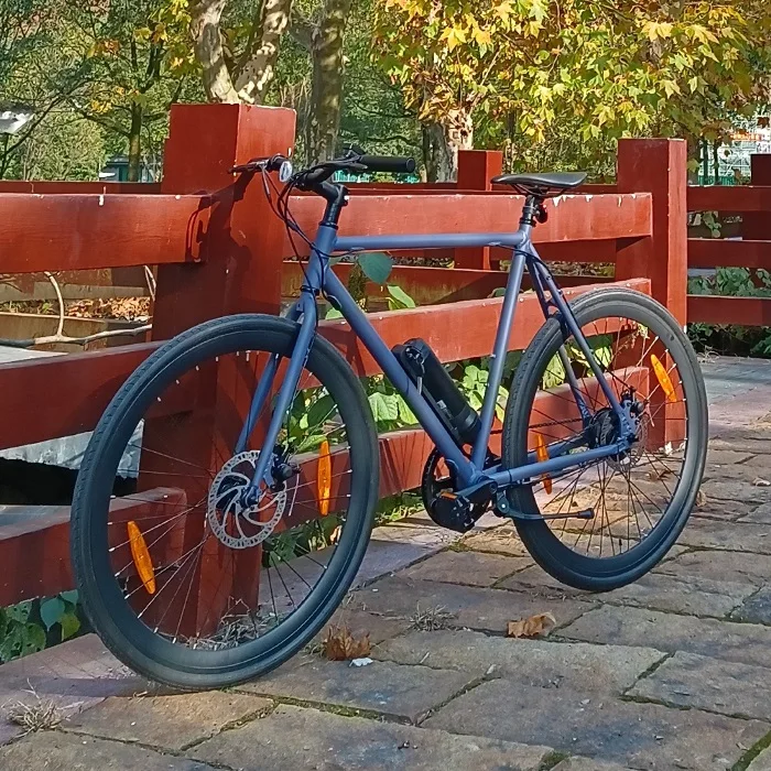 250W pedal assist light weight single speed road ebike