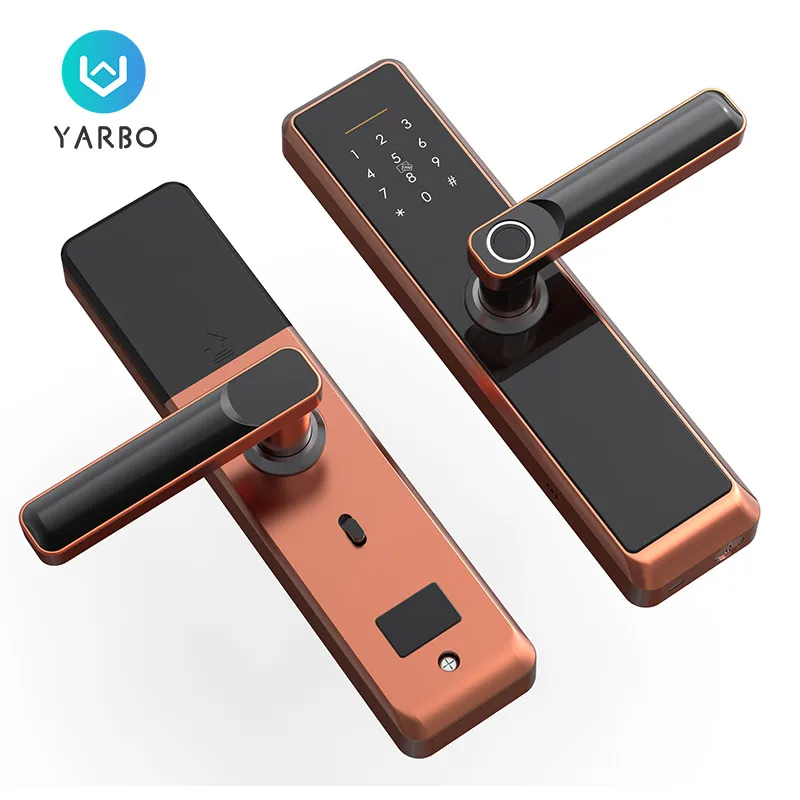 Лидер продаж Amazon автоматический электронный биометрический дверной замок Ttlock со сканером отпечатков пальцев для Alexa Google home