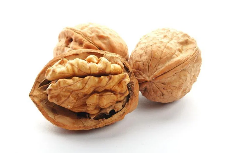 Горячая Продажа Лучшее качество Китайский орех и ядро грецкого ореха