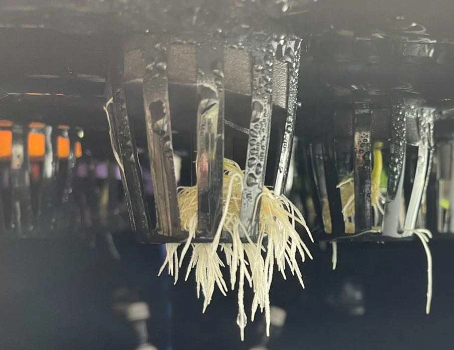 New DWC Home Hydroponics growing systems with 6 site basket cup