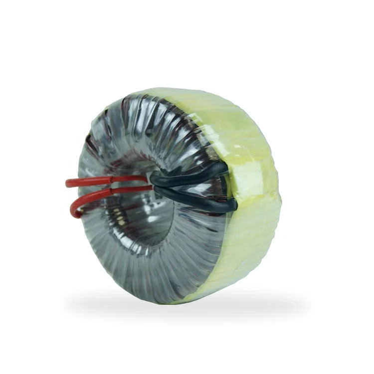 Вход 110 В 12 переменного тока высокое напряжение 300 Вт неводонепроницаемый