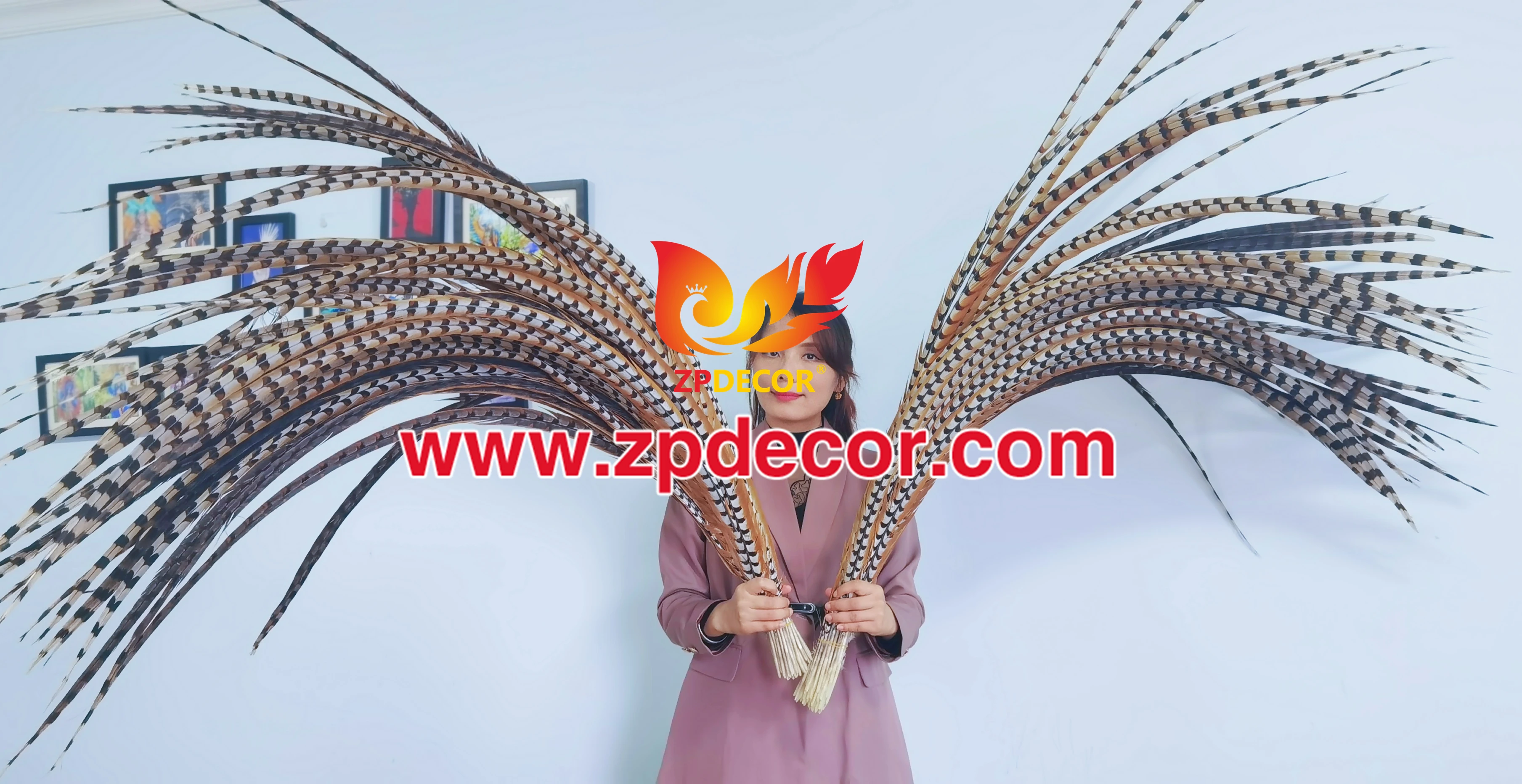 Оптовая продажа с завода ZPDECOR, супер длинные натуральные перья хвоста фазана для карнавала Майами бахамс янканоо
