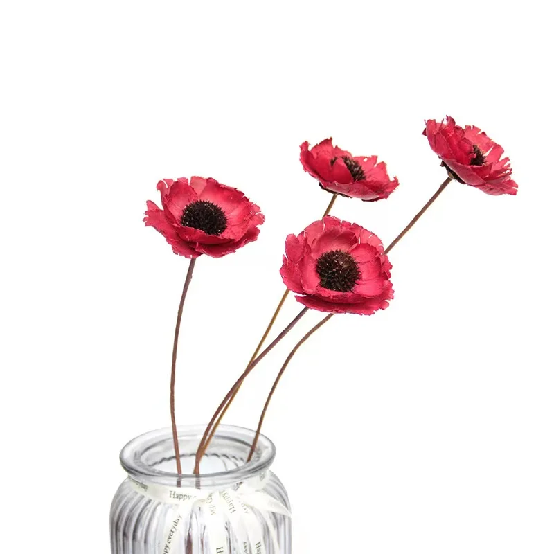 2022 Yunnan Wholesale The Most Popular Dried poppy flower Dried Fruit Dipsacus Sativus for Christmas