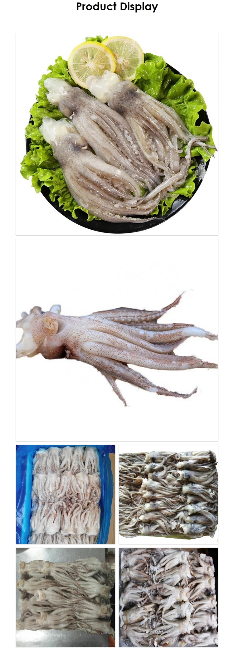 squid head for family dining
