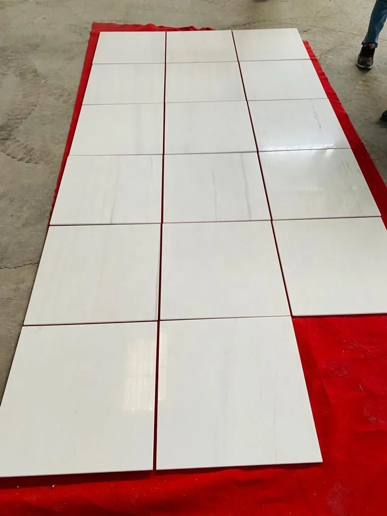 Bianco Dolomite Marble Tile Polished Honed Good Price Floor For House Marmara White Turkey