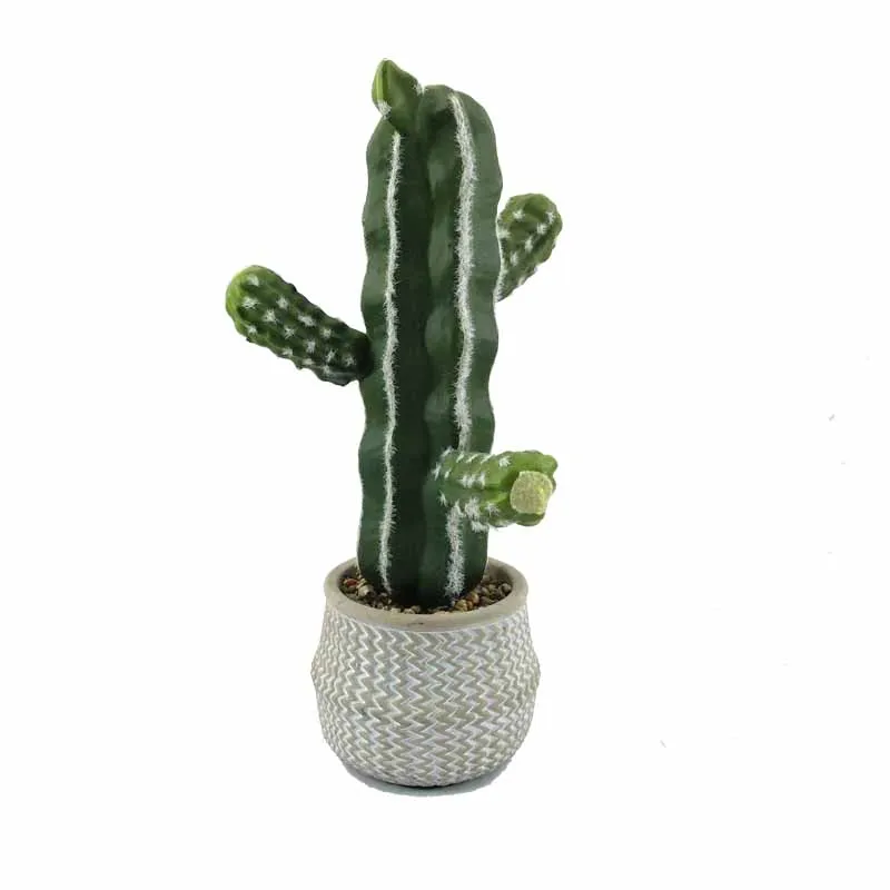 Wholesale high quality artificial cactus with best price greenery