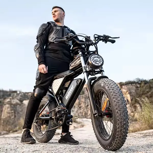 ridstar q20 1000w 2000w 2000watt ebike upgrade 20 electric bike for adults