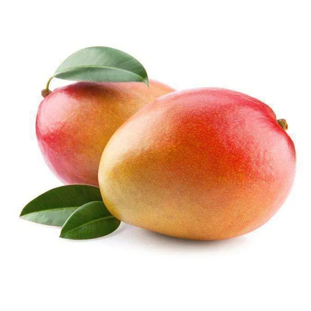 100% Fresh Badami Mango For Best Price