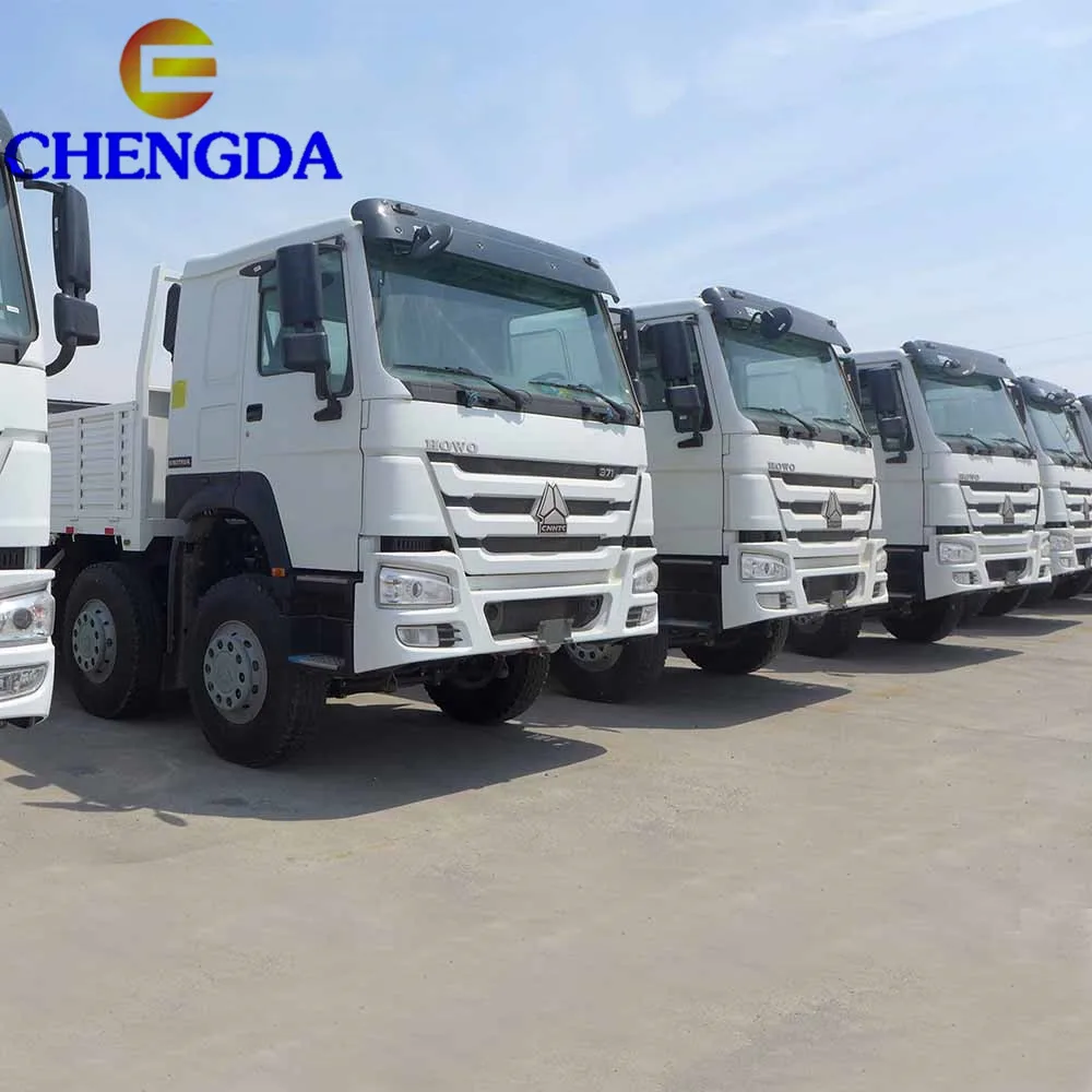 Used HOWO Shacman 50t 12 Wheels 8x4 Cargo Truck for Sale