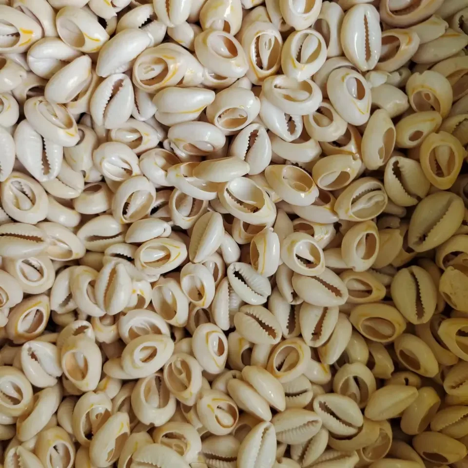jewelry findings Wholesale DIY jewelry shell beads,16-25 mm length nature shell loose beads,500 gram /bag