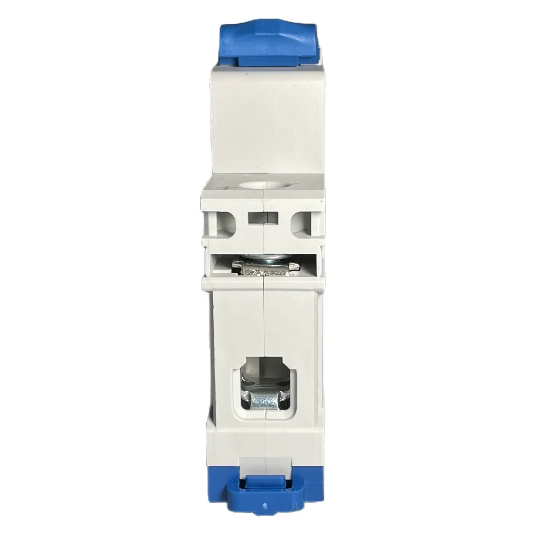 CHINT miniature circuit breaker NB1Z-63 1p 2p low voltage modular DIN rail motor protection 1A-63A 6kA DC60V DC125V DC220V