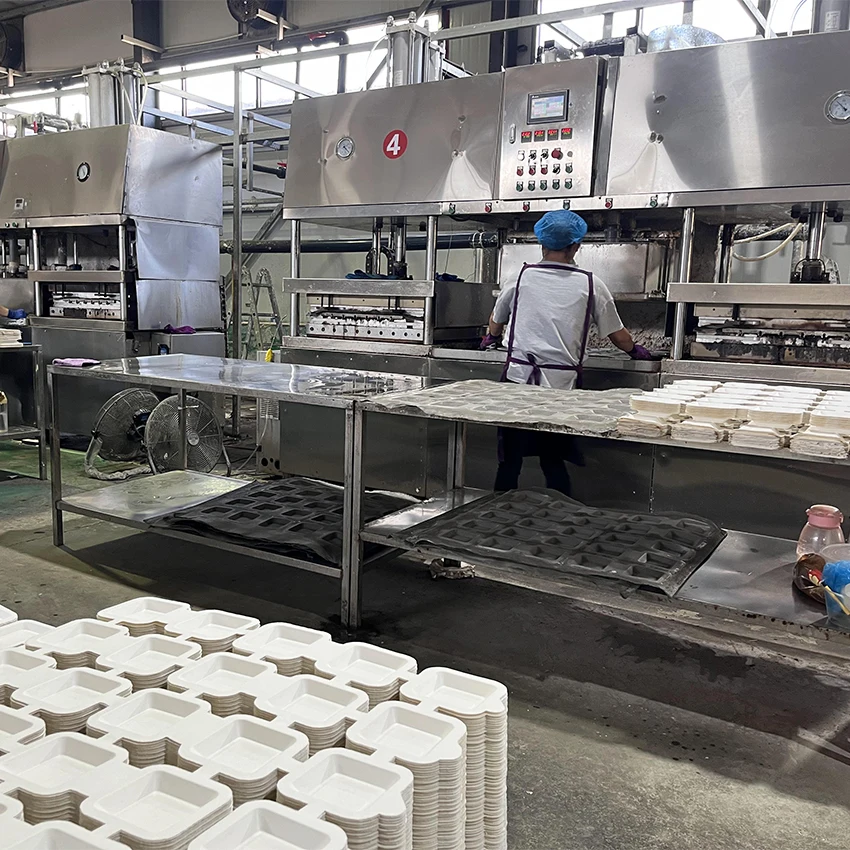 Wongs high speed paper pulp food container making machine made by bagasse pulp