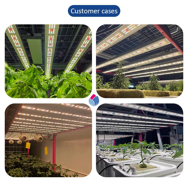 1000w led plant light (22).jpg