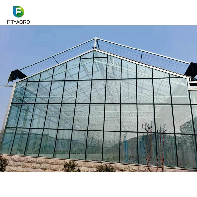 
Agriculture vegetable/flower growing glass greenhouse with hydroponic growing system bucket 