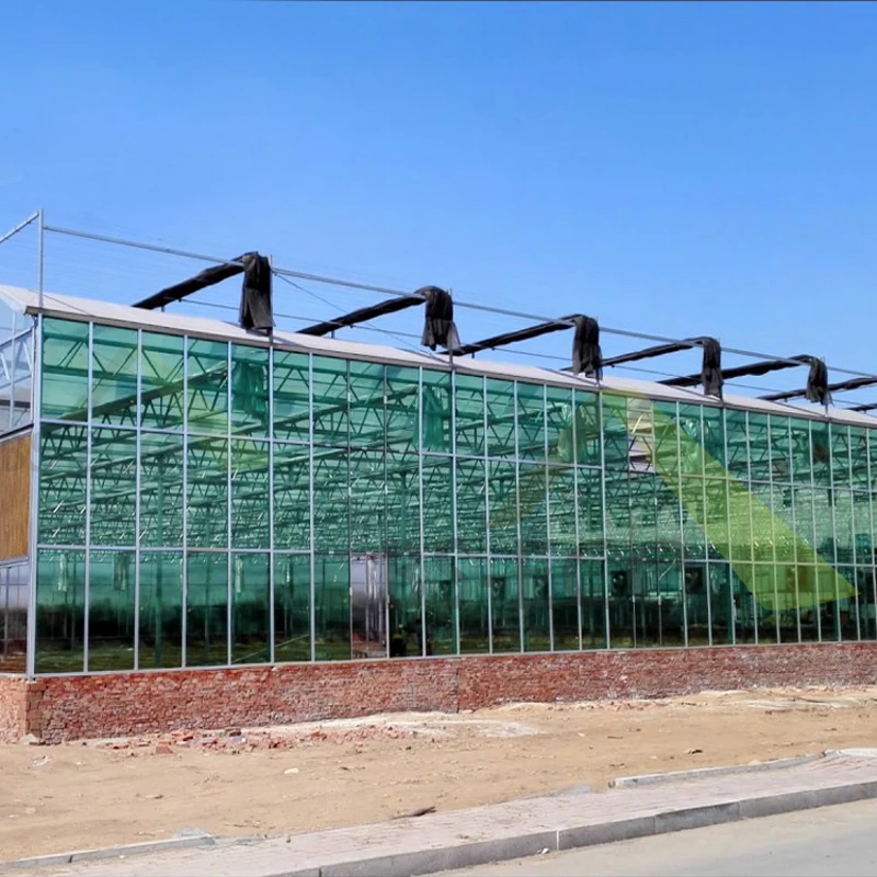 Multi-span Glass Greenhouse Nft vertical Hydroponics for Strawberry Planting