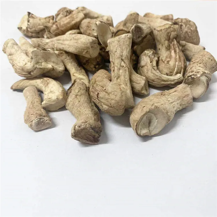 Outstanding Quality Shiitake Foot Shiitake Mushroom Stem Mushroom Root