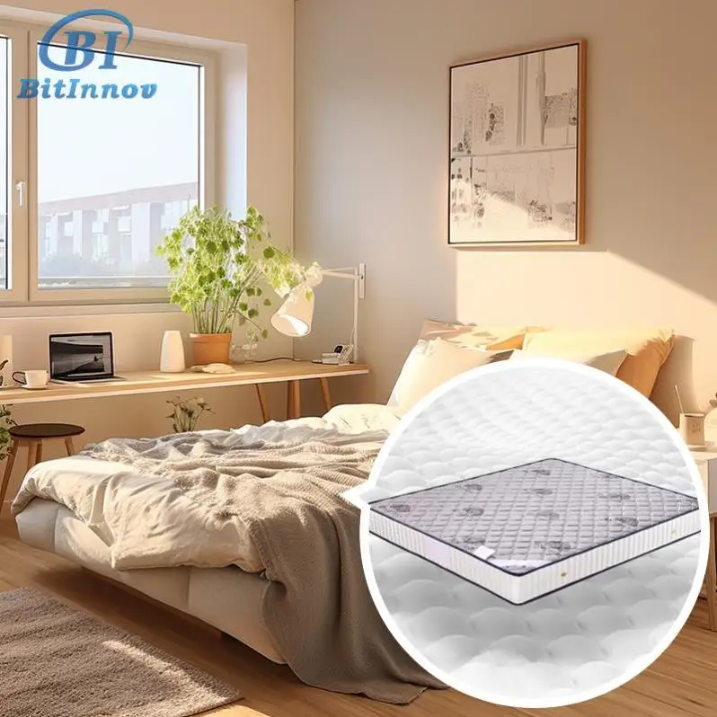 Bitinnov NO.811 200*180*22cm Pillow Top Queen Twin Size Orthopedic Double Office Bedroom Octaspring Mattress
