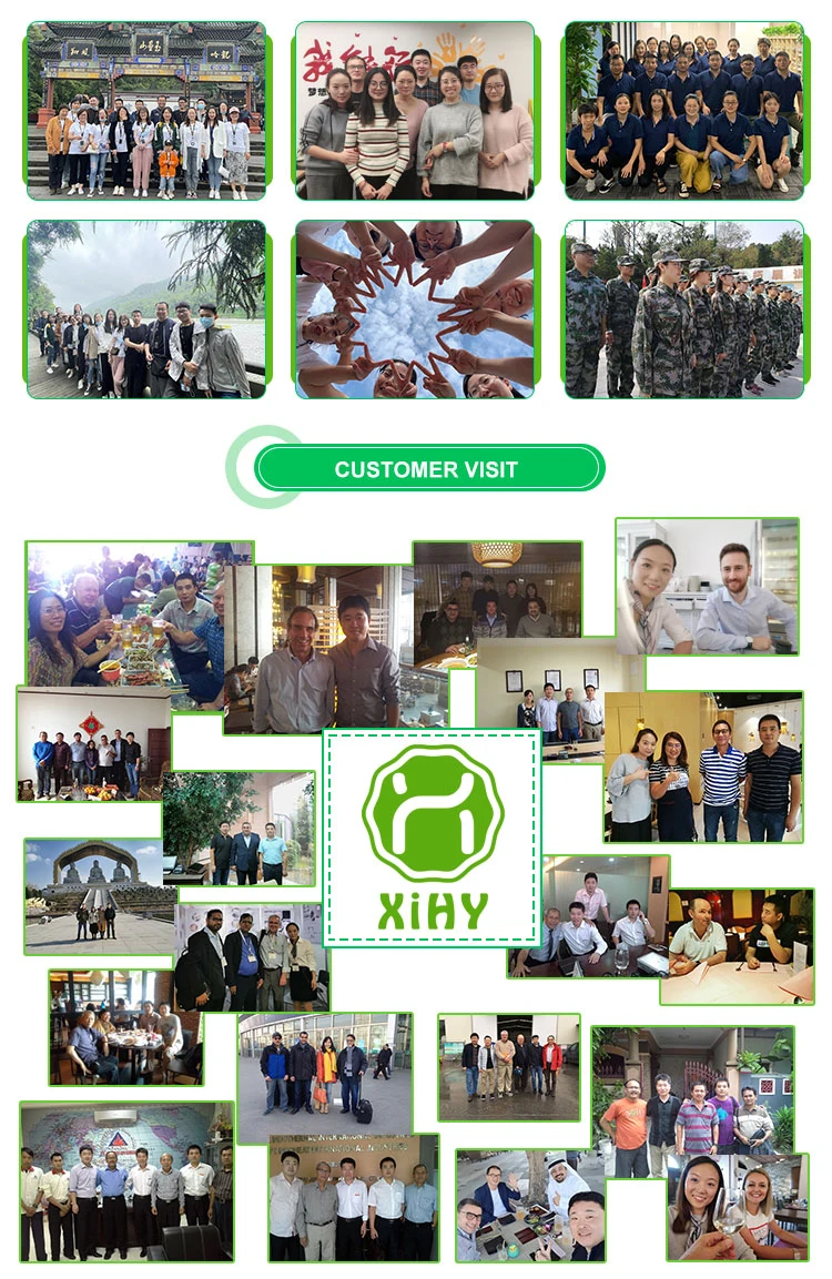 artificial grass design