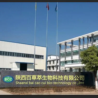 Organic Litchi Seed Powder Freeze Dried Lychee Lichee Flavour Fruit Powder Juice Powder Cheap Price