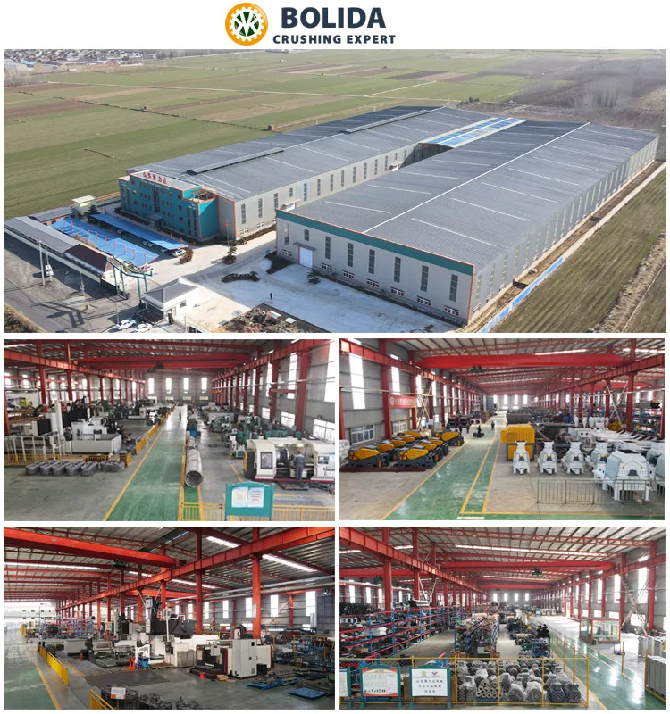Professional biomass commercial wood sawdust drying equipment with CE