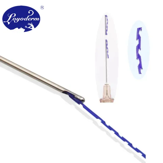 wholesale absorbable blunt needle 19g 100mm pcl pdo thread molding cog wires lifting for sale