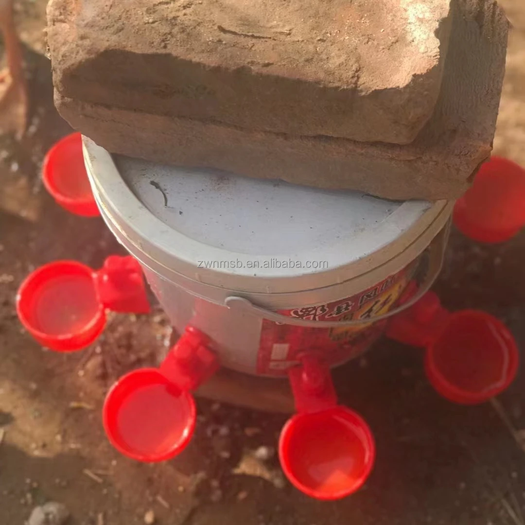 Wholesale Chicken Poultry Drinker Feeder Water Bottle Cup Automatic Watering Bowl