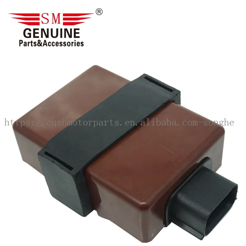 Motorcycle ignition parts 12 pin 200cc bajaj pulsar NS 200 ROUSER 200 Ns200 PULSAR200NS motorcycle cdi racing cdi unit