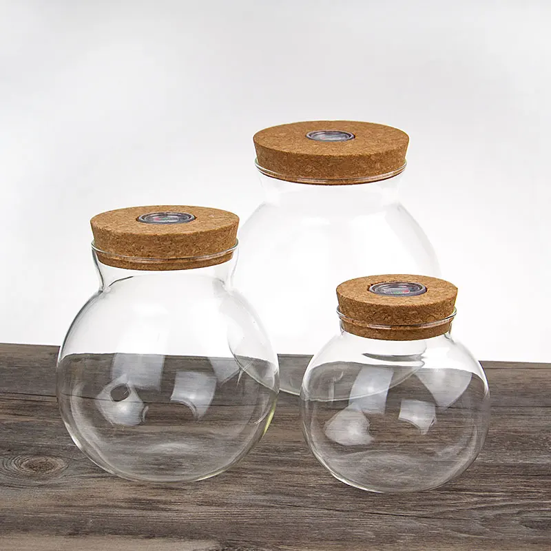 Handmade High Borosilicate Terrarium Glass Bottle for Plant with LED Light