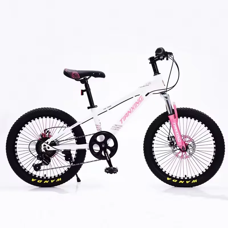 Free shipping high carbon steel frame bysicle bicycle 20 inch bycycle/bycicle/velo vtt cycle for men and women