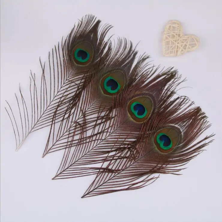 Multiple Peacock Feather Tail Pheasant Tail Rooster Feather