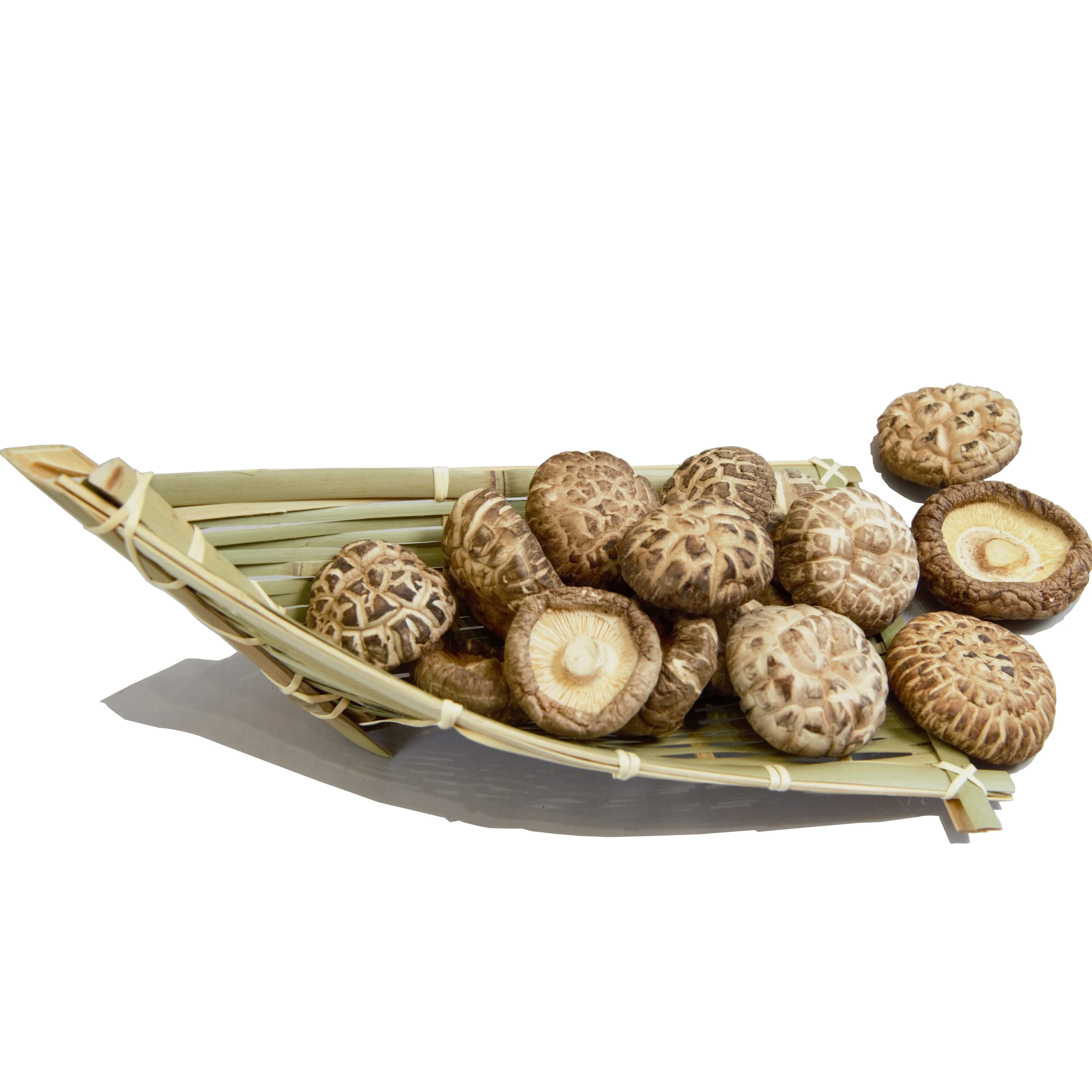 Superior Quality Driedshiitake Mushroom Magic Mushroom