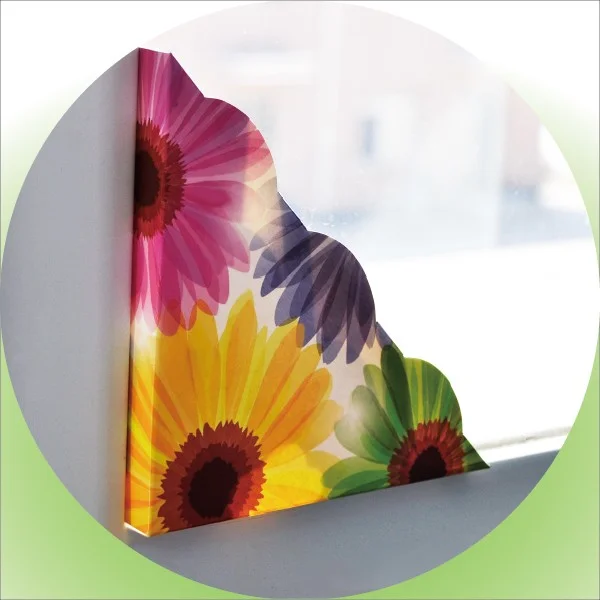 Indoor Use Window Corner Fly Trap For Pest Control