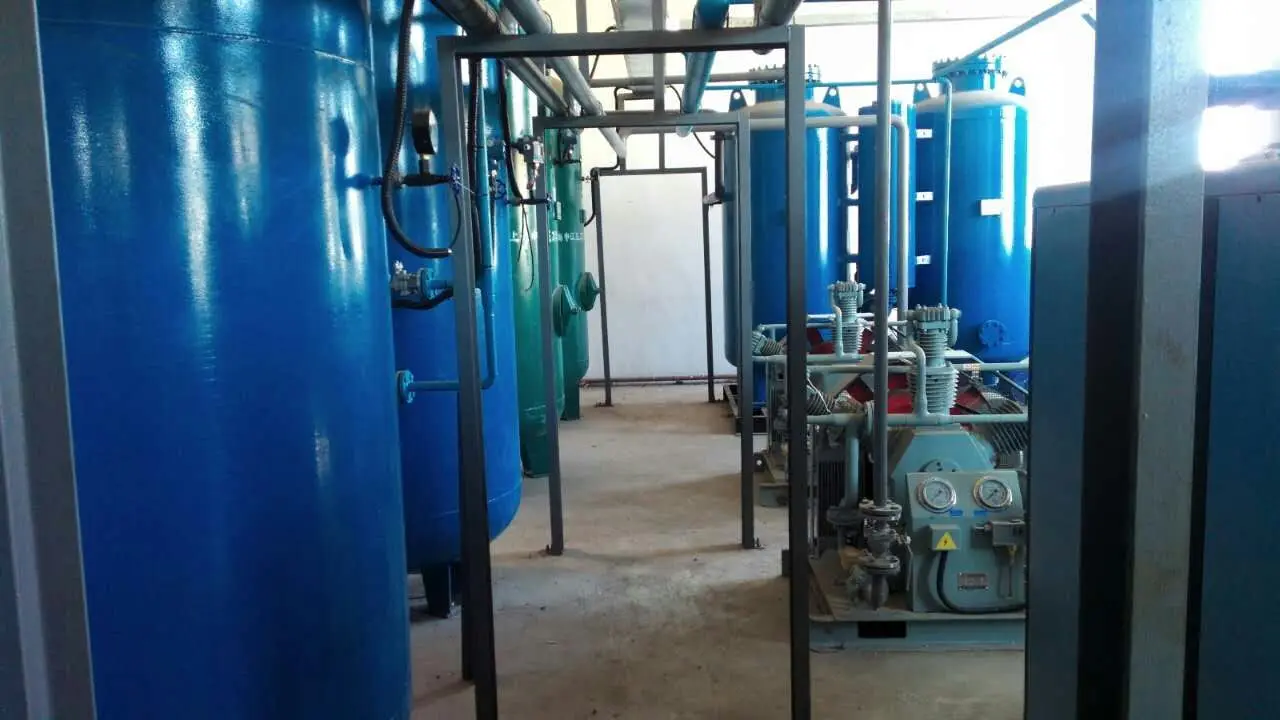 High Quality Psa Oxygen Generators High Quality Zeolite Molecular Sieve Oxygen Concentrator High-purity Food-grade Stainless Ste