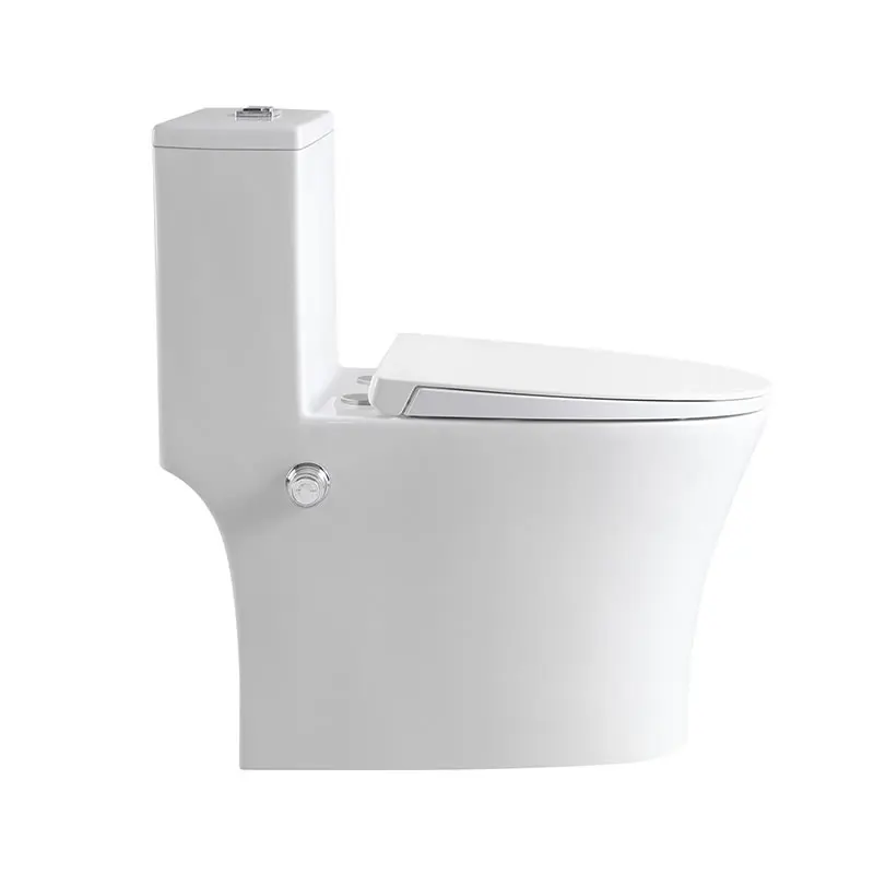 Bidet Toilet Modern Design Bathroom Washdown Rimless One Piece Ceramic UF Material Soft Closing Seat Bidet Wash Floor Mounted