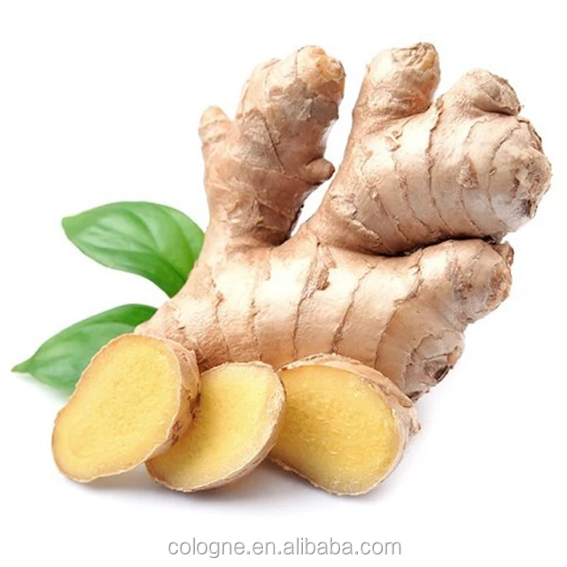 Export New red  Ginger Fresh Wholesale market price From Chinese ginger Suppliers