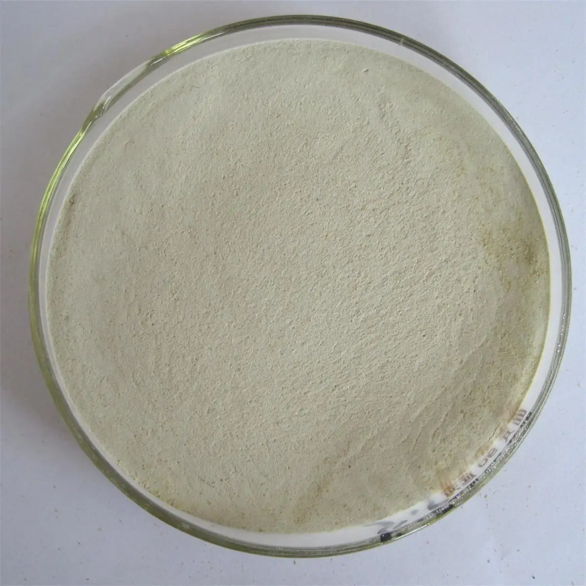 Xylanase from Trichoderma viride