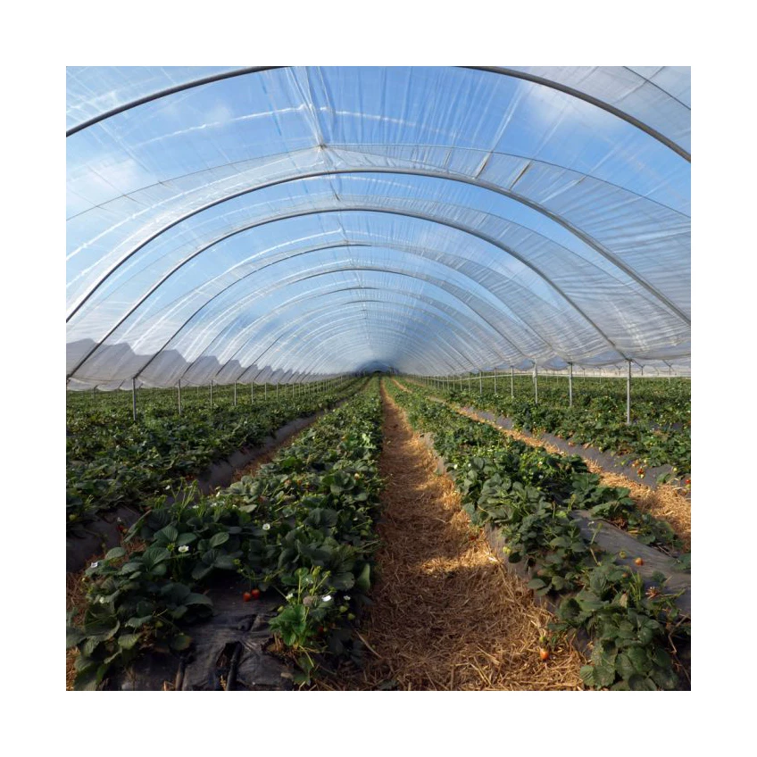 
high quality etfe greenhouse plastic film with UV resistant 