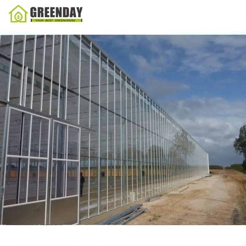 
GREENDAY Best-selling Garden Agricultural Greenhouse/sun Room/ Film Greenhouse - Buy Greenhouse 