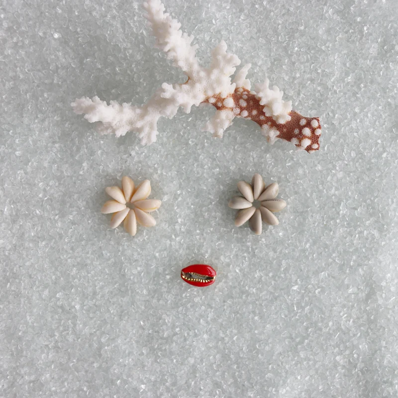 Loose Natural Cowrie Shell Beads Ring for Lei Necklace Making Crafts DIY Jewelry Accessories