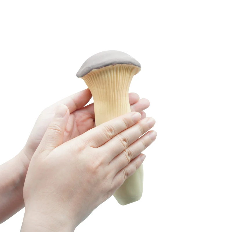Lifelike Plastic Mini Mushroom Figurine Toy Set Realistic Artificial Vegetables for Kids Education Toy