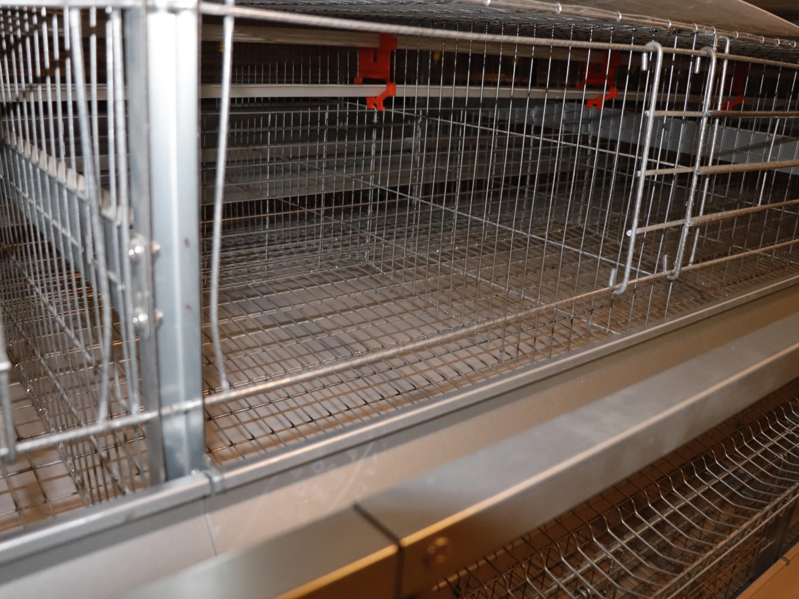 hen farm breeding automatic laying chicken cage system