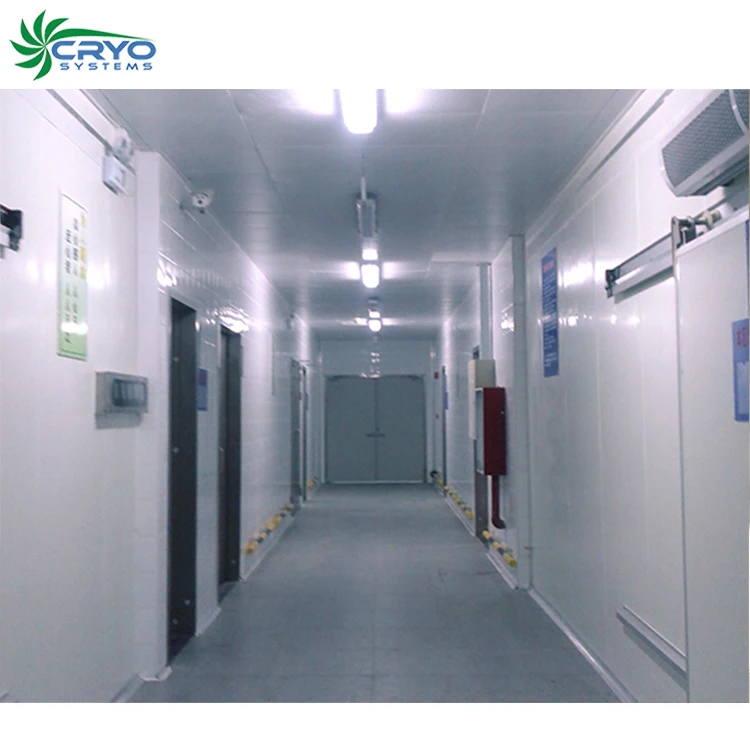 lobster live chicken frozen halal readymade coldroom foster walk in freezer food chillers for sale