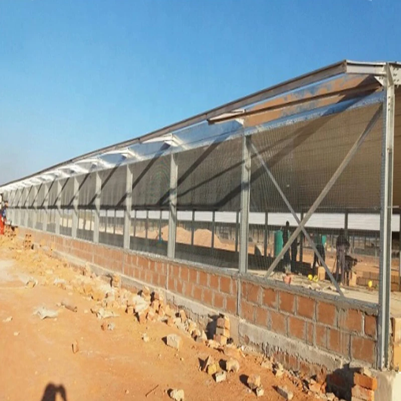 Ошейники для сборных куриных