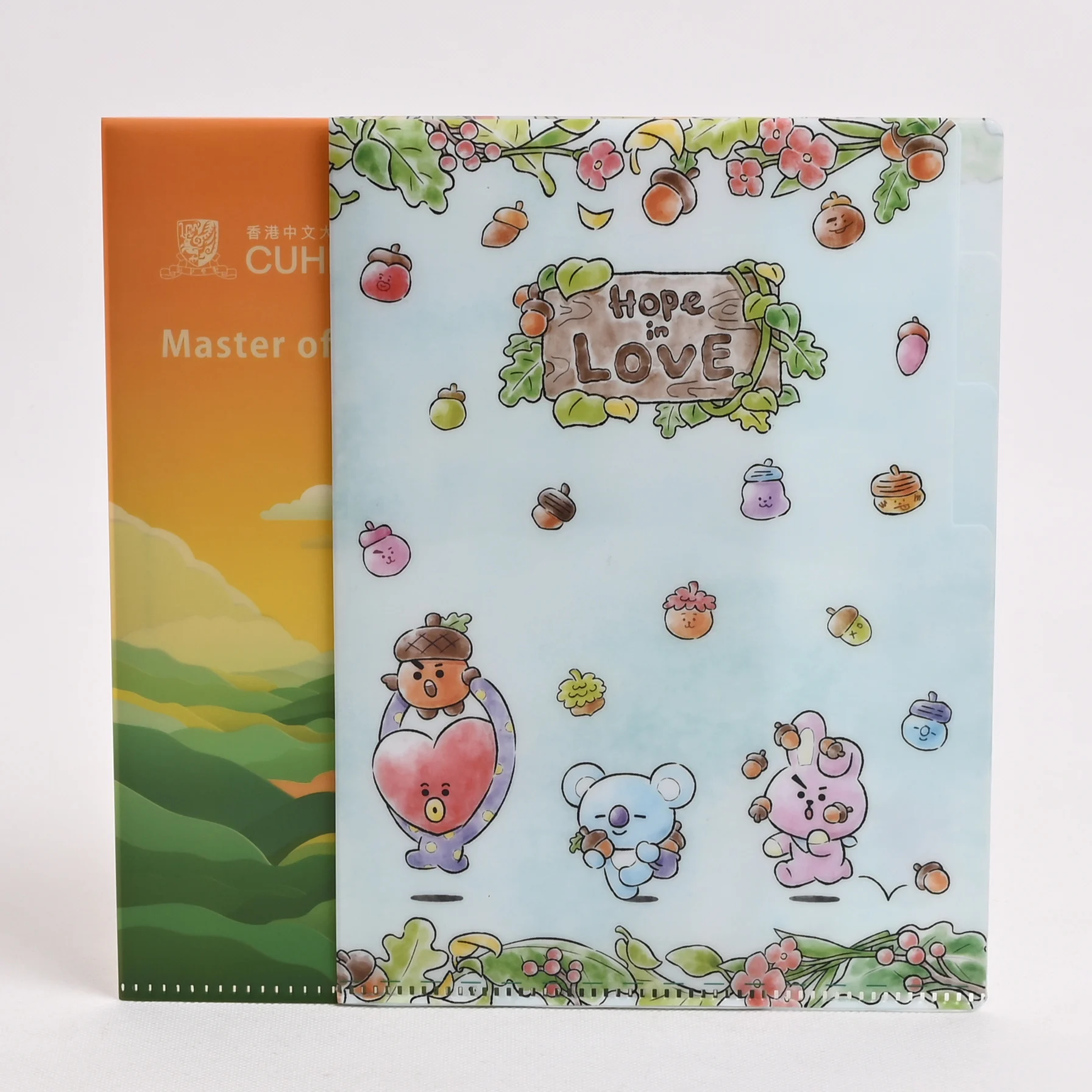 Wholesale Custom A4 A5 Classification File Folder Color Printing Design Document Organizer For Office And School