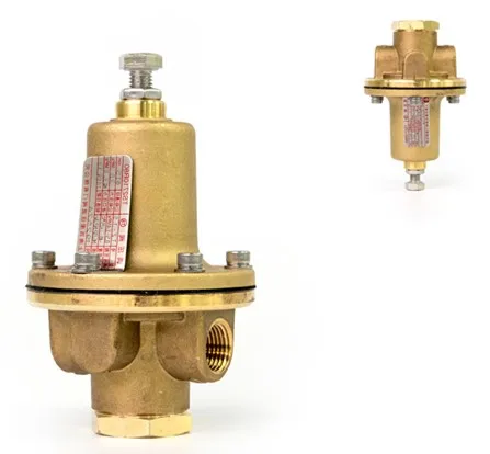 TZ-25 Gas regulator NG cylinder regulator  pressure reduction regulator