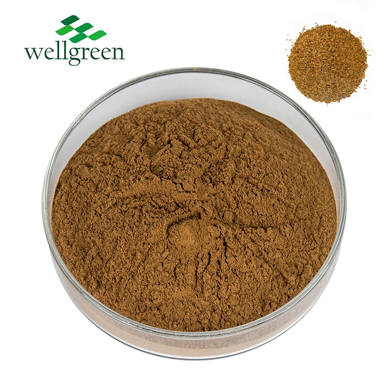 Factory Supply Pure Natural Flax Seed Extract Powder Flax Seed Lignans 20% 40% 50% Flaxseed Gum Flax Seed Extract for supplement