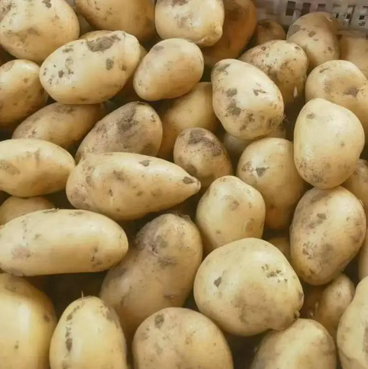 Personal order: Fresh potatoes Holland  potatoes