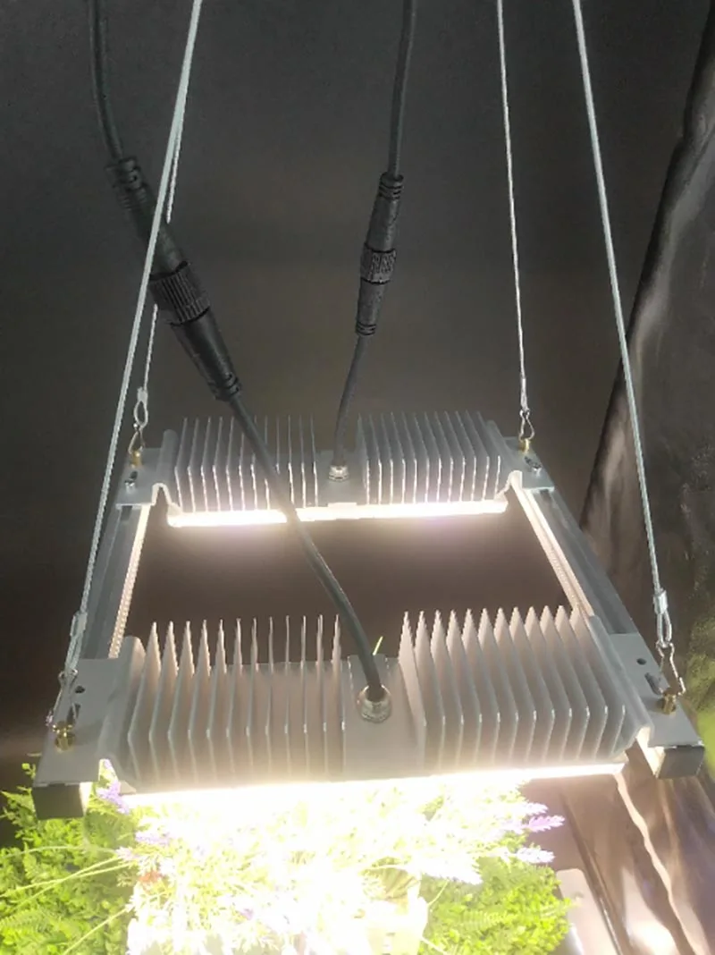 2024 High PPFD IP65 Full Spectrum Sunlike color 100W Plant Grow Light for wholesale